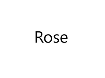 Flight Rose